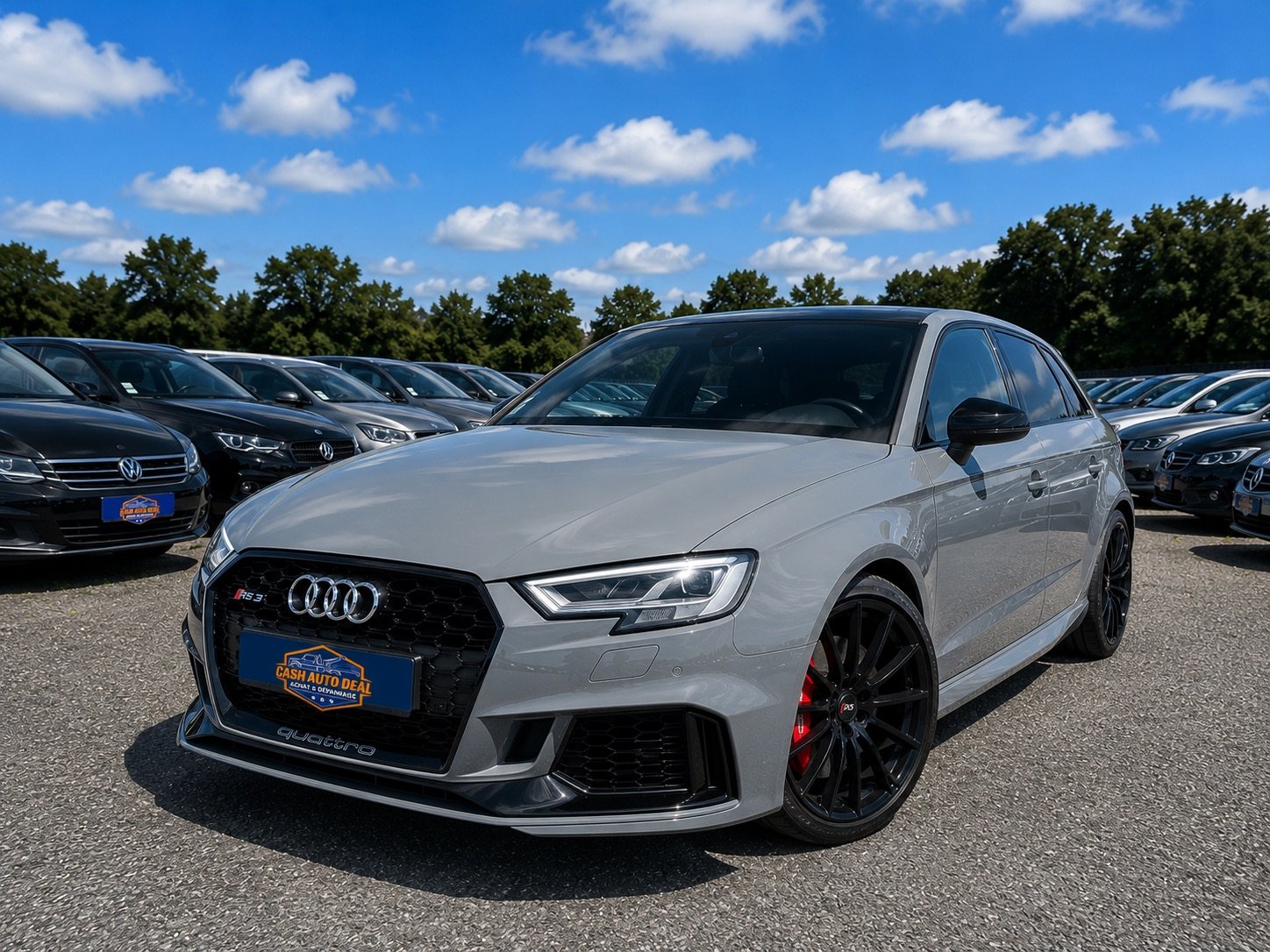rs3